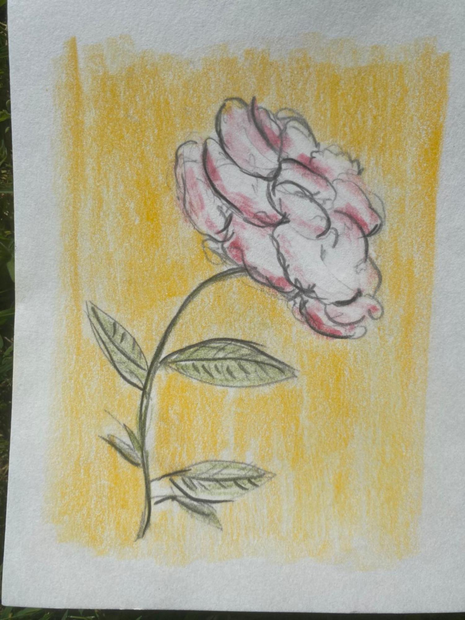 Il Casale Delle Rose Aparthotel Paganico  Luaran gambar
